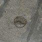 Фото покупателя