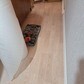 Фото покупателя