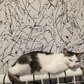 Фото покупателя