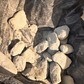 Фото покупателя