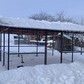 Фото покупателя