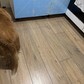Фото покупателя