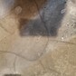 Фото покупателя