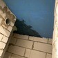 Фото покупателя