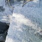 Фото покупателя
