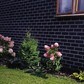Фото покупателя