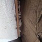 Фото покупателя