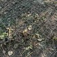 Фото покупателя