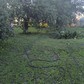Фото покупателя