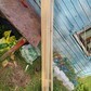 Фото покупателя