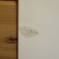 Фото покупателя