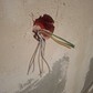 Фото покупателя