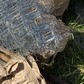 Фото покупателя