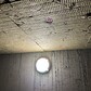 Фото покупателя