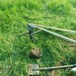 Фото покупателя