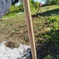 Фото покупателя
