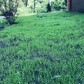 Фото покупателя