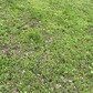 Фото покупателя