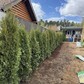 Фото покупателя