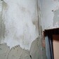 Фото покупателя