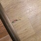 Фото покупателя