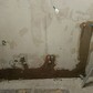 Фото покупателя
