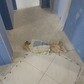 Фото покупателя