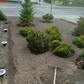 Фото покупателя
