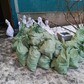 Фото покупателя