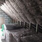 Фото покупателя
