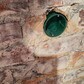 Фото покупателя