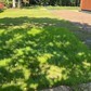 Фото покупателя