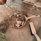 Фото покупателя