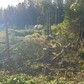 Фото покупателя