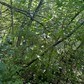 Фото покупателя
