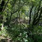 Фото покупателя