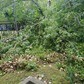 Фото покупателя