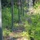 Фото покупателя