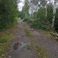 Фото покупателя