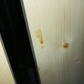 Фото покупателя