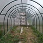 Фото покупателя