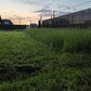 Фото покупателя