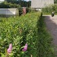 Фото покупателя