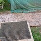 Фото покупателя