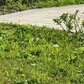 Фото покупателя