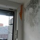 Фото покупателя