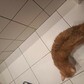 Фото покупателя