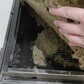 Фото покупателя