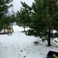 Фото покупателя