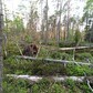 Фото покупателя